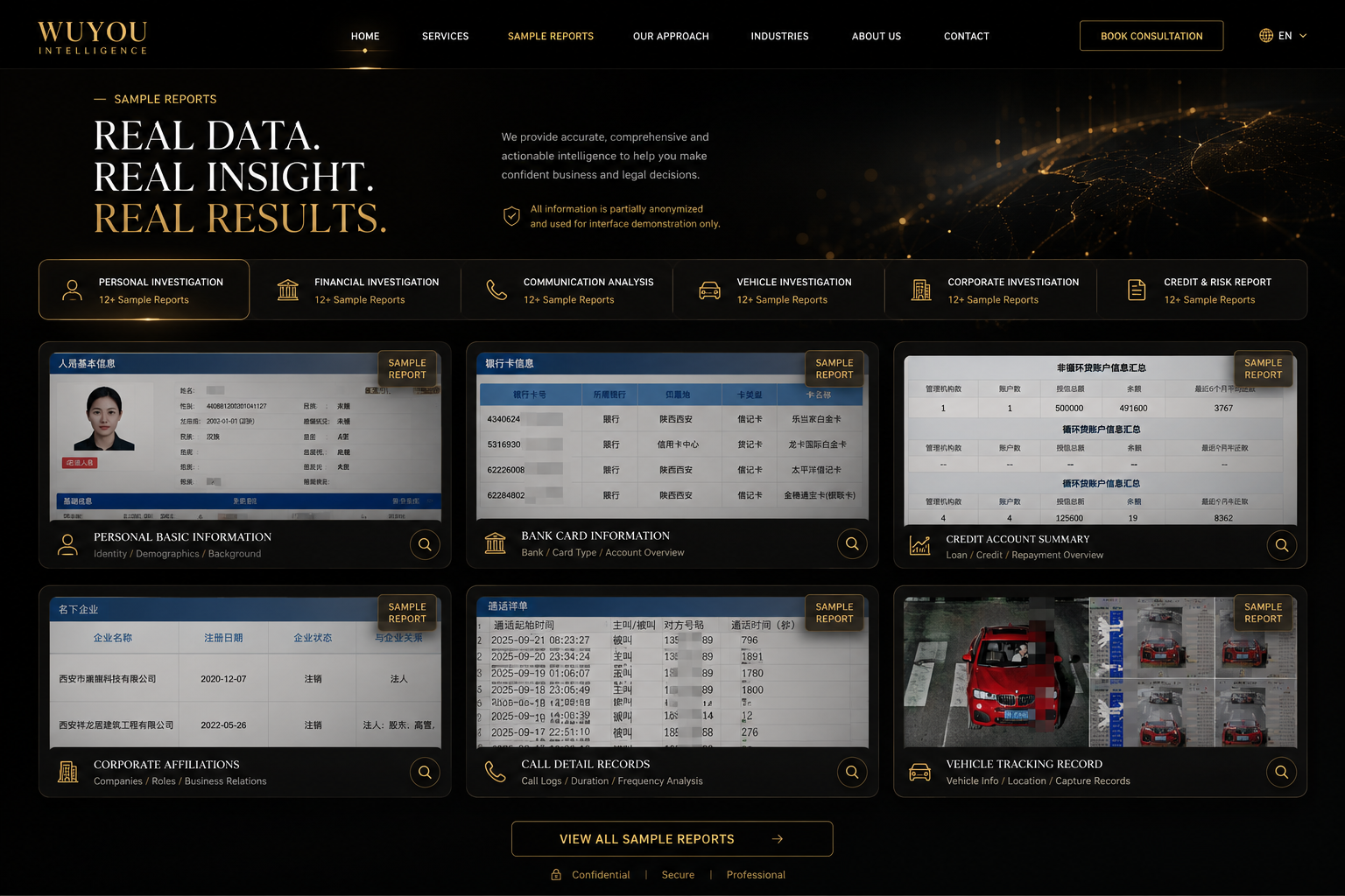 WUYOU Intelligence 样板报告展示